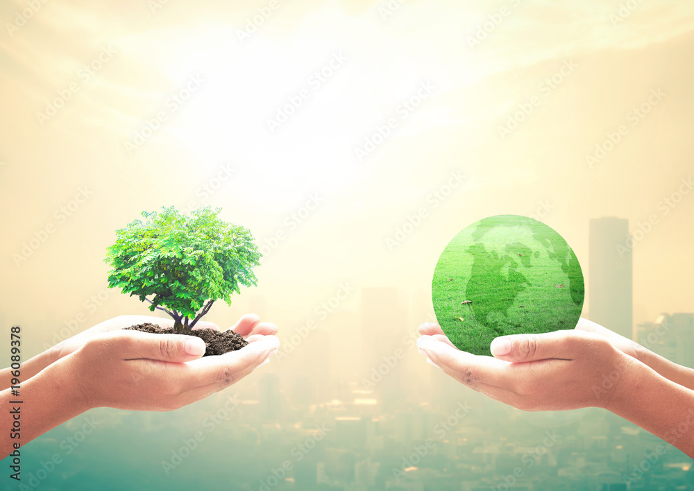 Earth Day concept: Two entrepreneur hands holding heart shape of big tree and earth globe of grass over blurred city sunset background