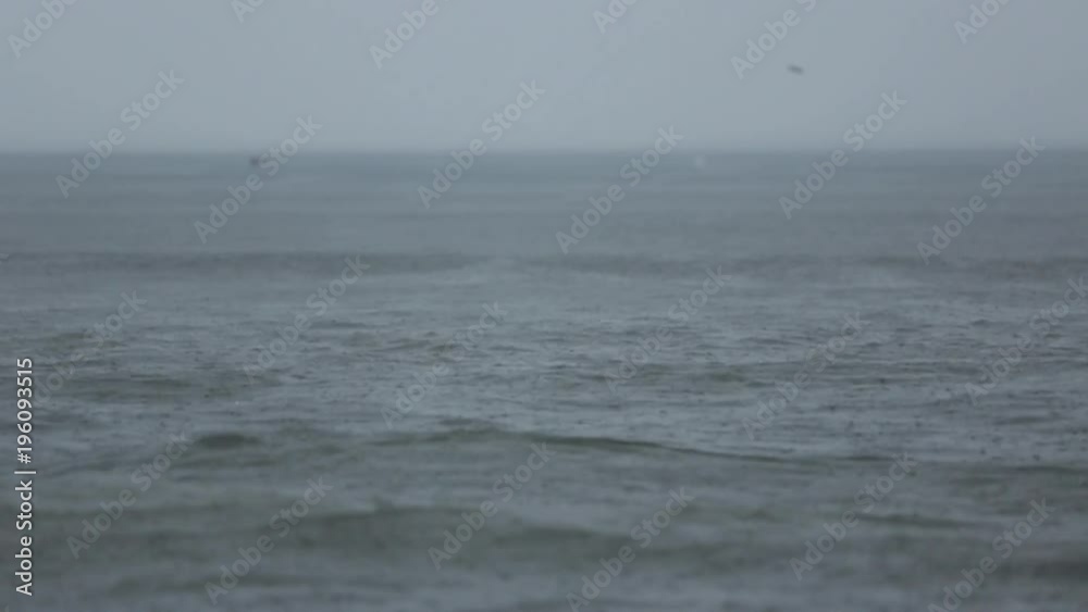 Outer Banks Romantic Ocean And Rain Slow Motion 001 Tracking Pelicans Outer Banks Romantic Ocean And Rain Slow Motion 001 Tracking Pelicans