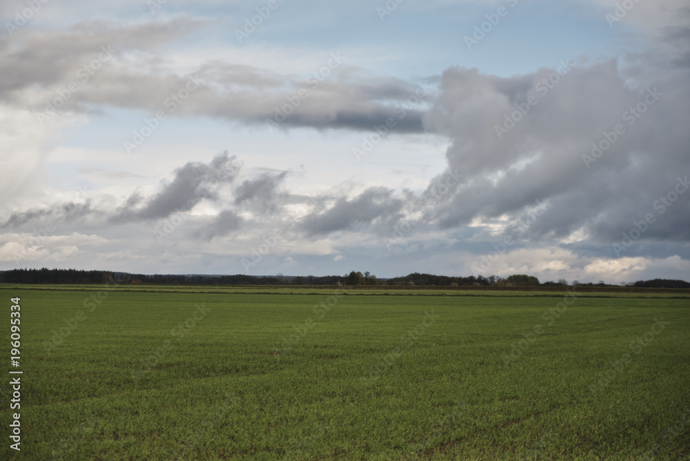 green field with trees and blue sky at autumn time green field with trees and blue sky at autumn time