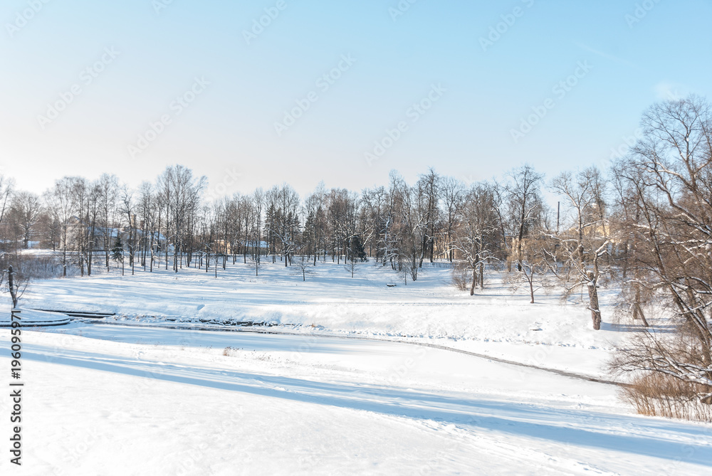 Winter landscape in forest with pines after snowfall Winter landscape in forest with pines after snowfall