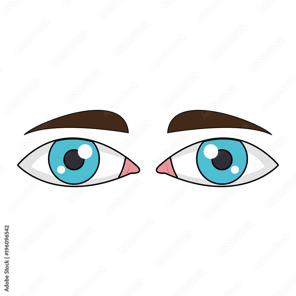 Human eyes cartoon vector illustration graphic design Human eyes cartoon vector illustration graphic design