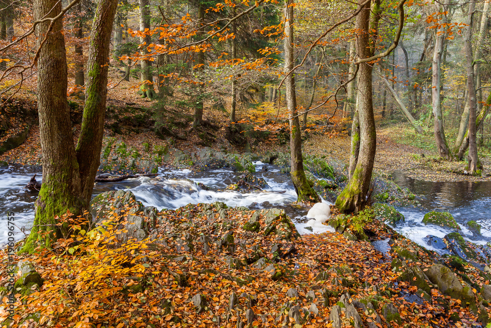 Fototapeta premium Herbstimpression vom Selkewasserfall im Selketal Harz