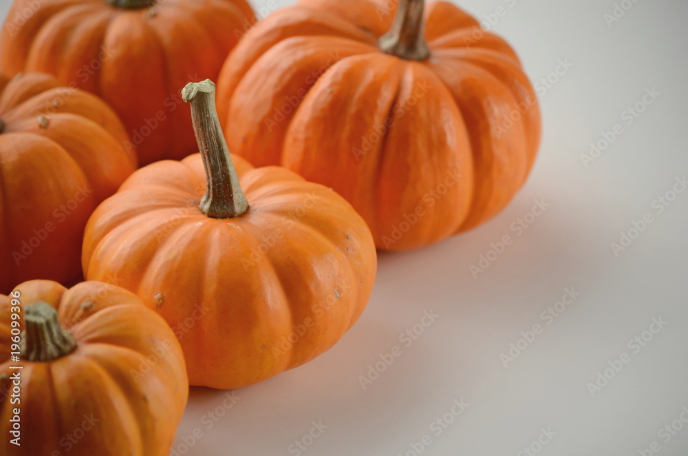 Fototapeta premium Pumpkin in a fall nest of corn and red berries. Happy Thanksgiving orange pumpkins background. 