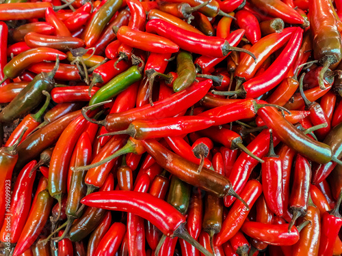 Chile serrano rojo 017