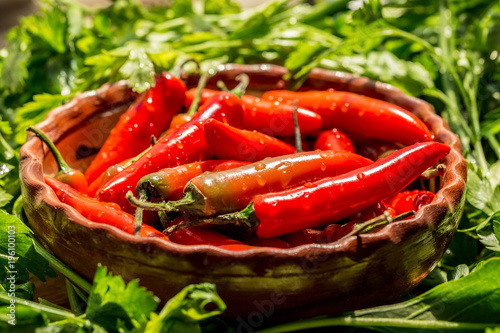 Chile serrano rojo 012