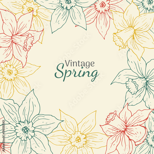 Fototapeta Naklejka Na Ścianę i Meble -  Daffodil vintage round frame. Hand drawn spring flower illustration