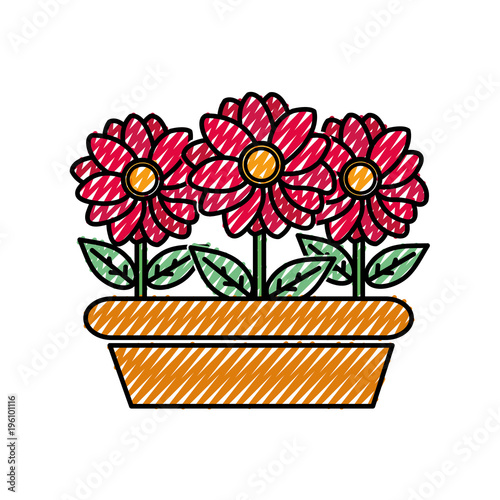 grated nice flowers with petals and leaves inside plantpot