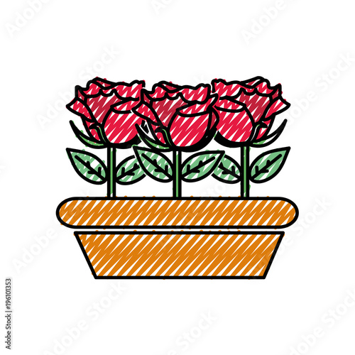grated nice roses with petals and leaves inside plantpot