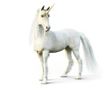 Majestic unicorn posing on a white isolated background. 3d rendering