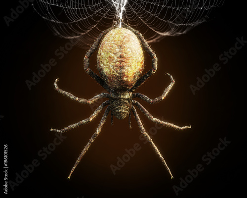Abstrakcjonistyczny zbliżenie ogromny pająk dynda od swój sieci. Renderowania 3d