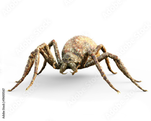 Enormous plague ridden spider isolated on a white background . 3d rendering 