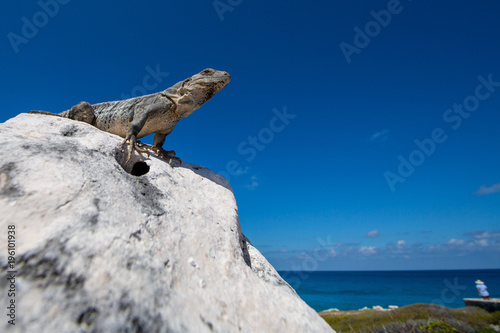 Sunbath