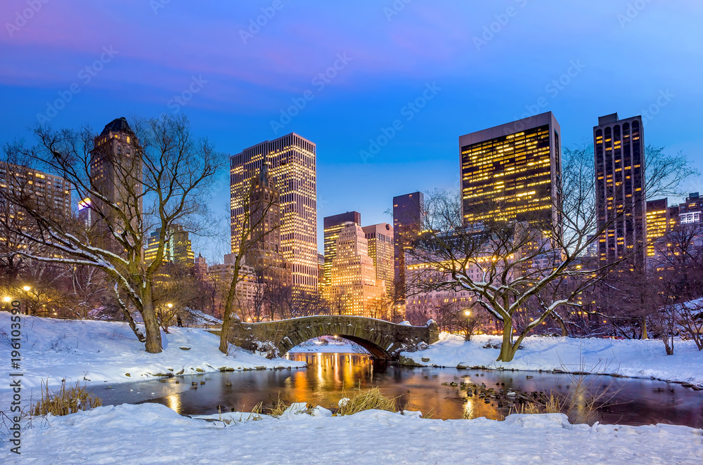 Fototapeta premium Gapstow bridge in winter