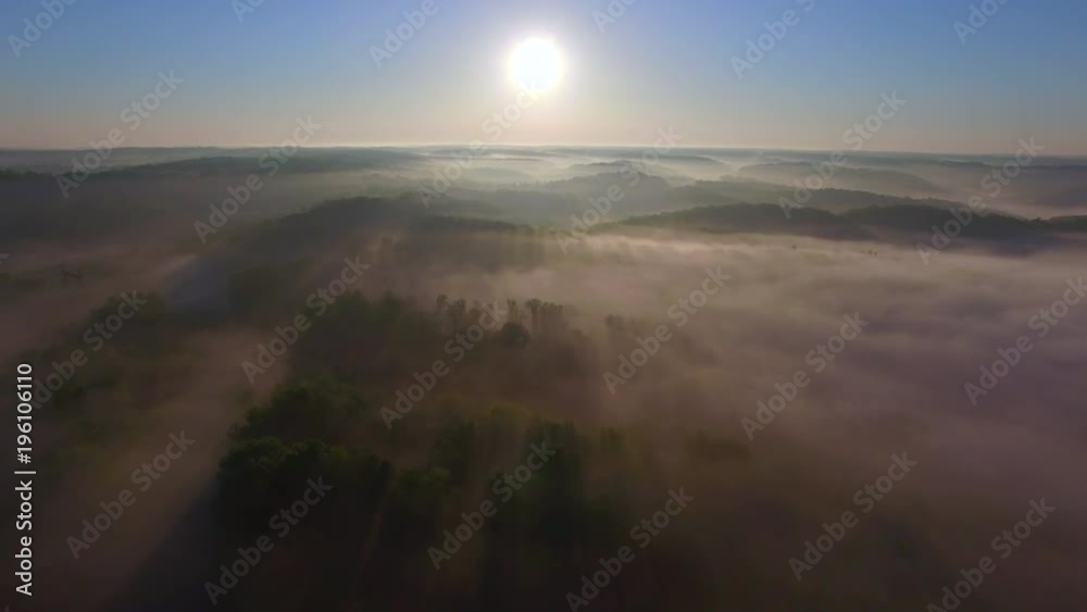 Soaring High Over Foggy Forest at Sun Rise Soaring High Over Foggy Forest at Sun Rise