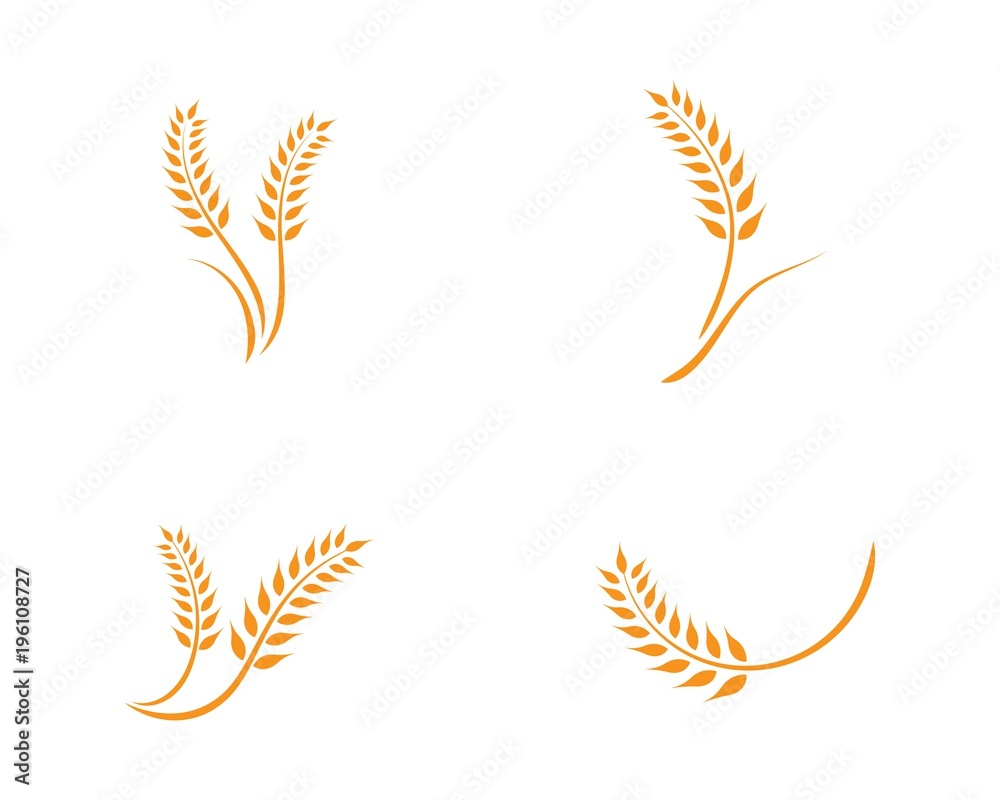 wheat Logo Template wheat Logo Template