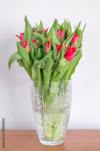 Beutufull red tulip flower on white background.
