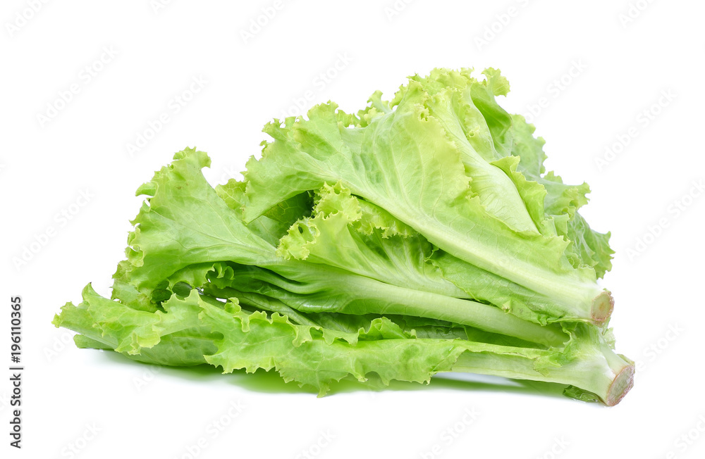 Salad leaf. Lettuce isolated on white background Salad leaf. Lettuce isolated on white background