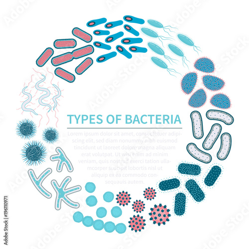 Intestinal bacterias in a circle