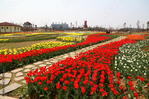 The spring flowers and sea scenery.