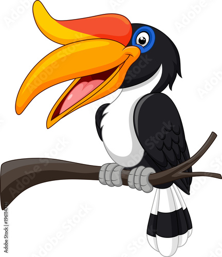 cartoon hornbill bird isolated on white background