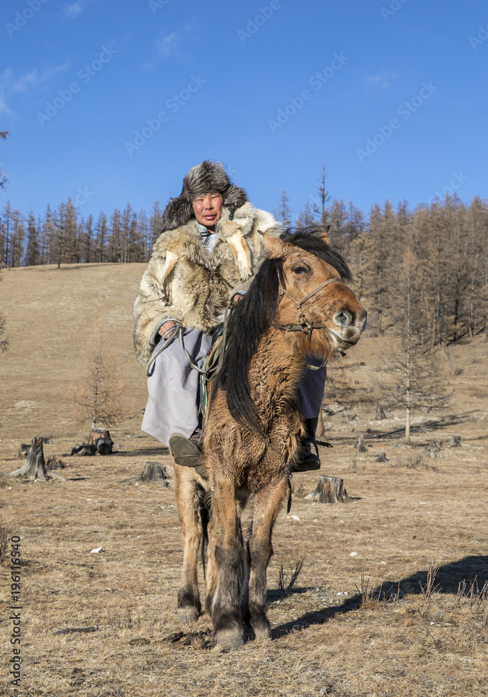 nomad man wearing a wolf skin jacket, riding his horse in a steppe in Northern Mongolia