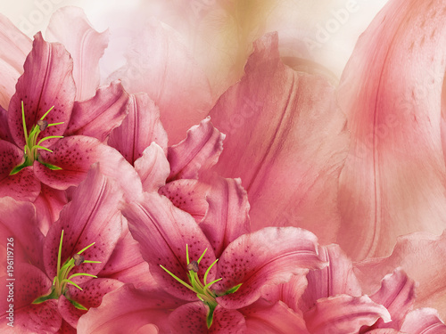 Floral red-pink beautiful background. Flower composition of lily flowers. Close-up. Nature.