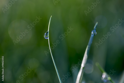 Drops on Leaf , Dew drops close up