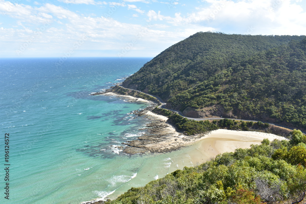 Obraz premium Teddy's lookout