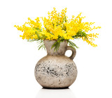Bouquet flowers mimosa in a vase on a white background