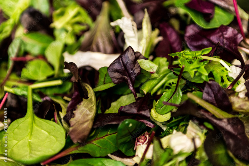 Fresh salad with mixed greens lettuce arugula, mesclun, mache close up Healthy food Green meal Fresh salad with mixed greens lettuce arugula, mesclun, mache close up Healthy food Green meal