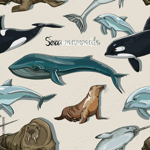 Sea mammals animal collection icons pattern