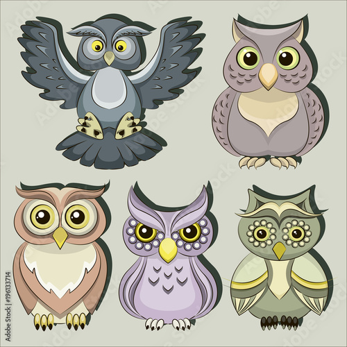 Set of color owls
