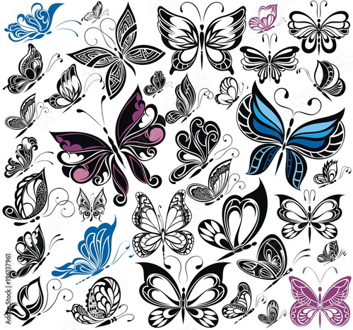 Big collection of butterflies. Vector