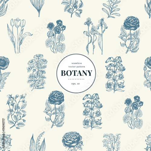 Seamless botanical pattern in vintage style. Vintage illustration. Vector design template. Floral background.