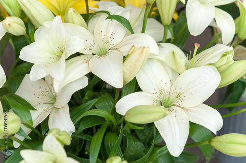 Bunch of flowers
