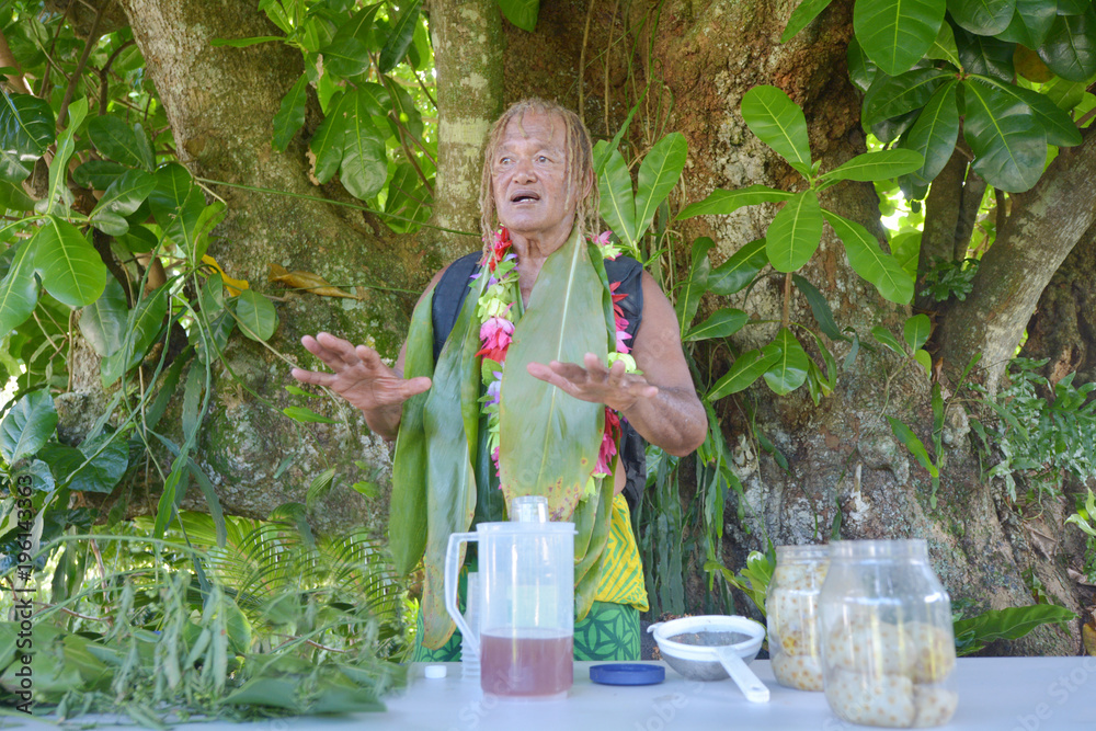 Fototapeta premium Cook Islander explains about the Noni Juice benefits on Eco tourism tour in Rarotonga Cook Islands