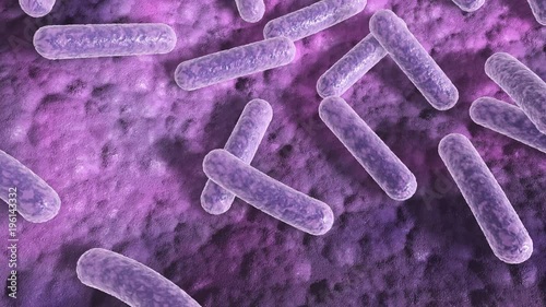 Microscopic 3d animation of bacteria on a surface with camera randomly zooming in and out