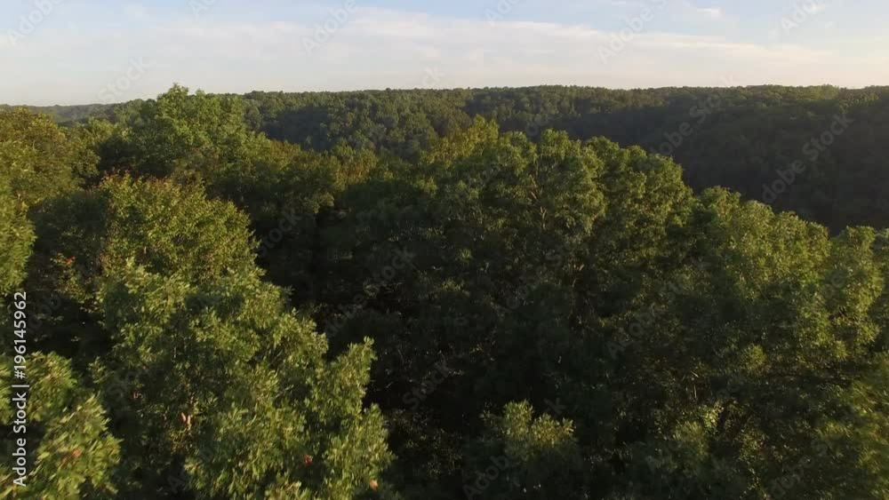 Skimming Treetops Revealing Stunning River Canyon at Sunrise Skimming Treetops Revealing Stunning River Canyon at Sunrise