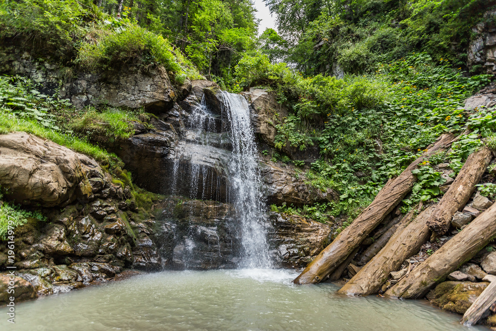 Fototapeta premium waterfall and wood