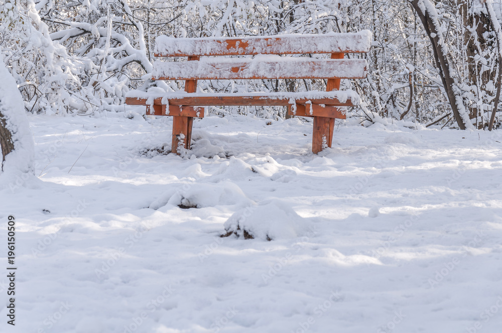 Wooden red bench on winter cold season with forest nature background