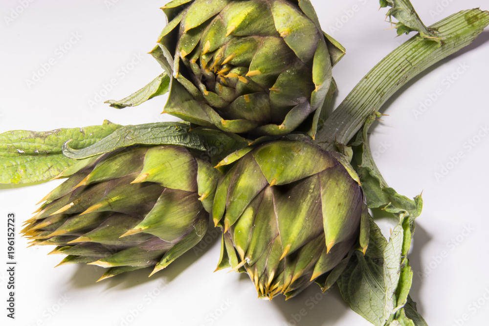 Obraz premium Spiny artichokes of Sardegna