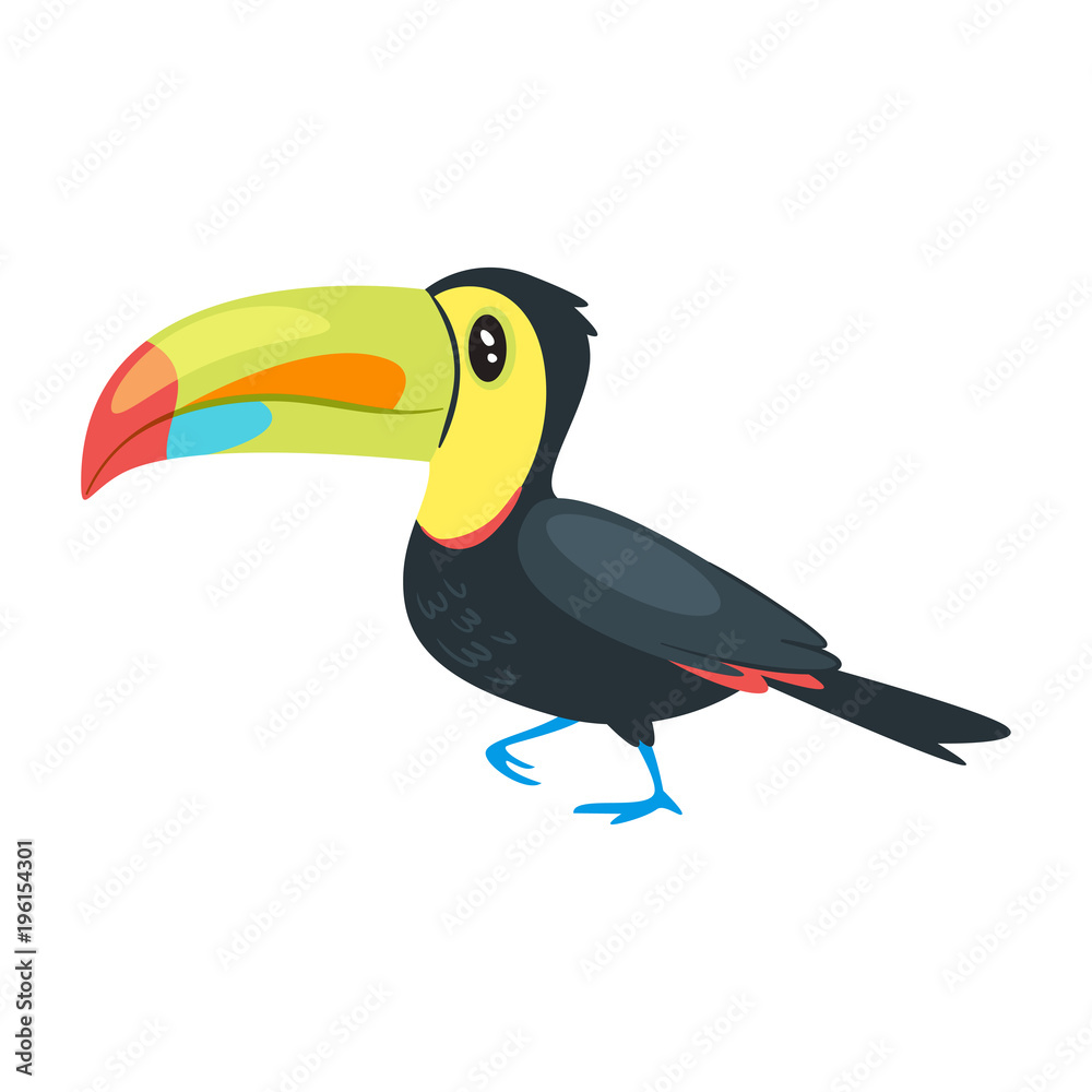 Fototapeta premium zoo animal - toucan