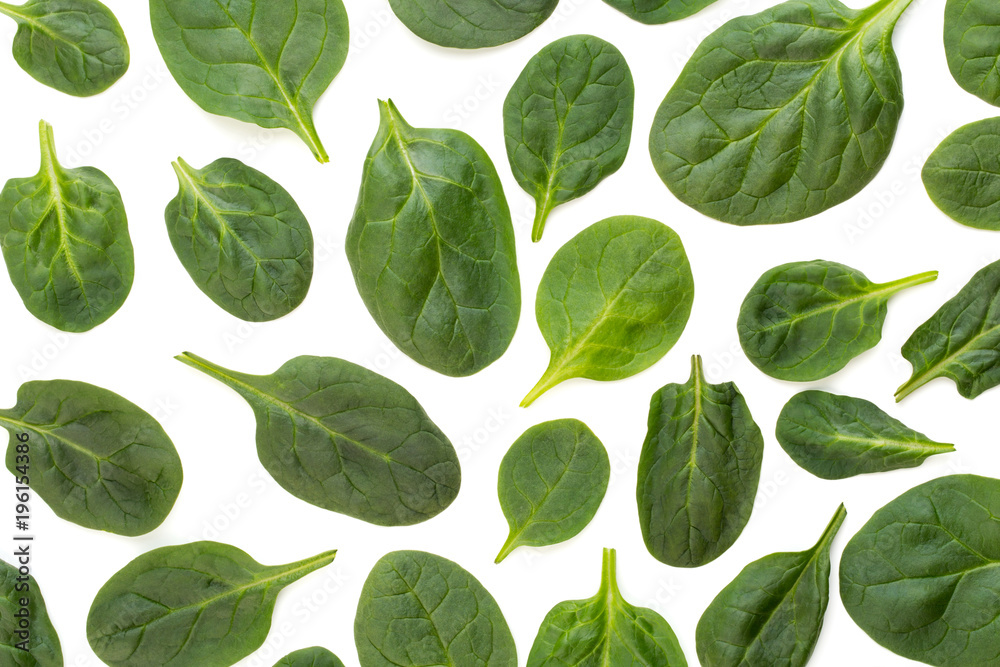 Spinach pattern background on white. Top view Spinach pattern background on white. Top view
