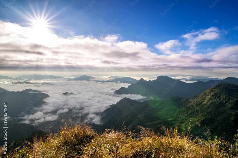 Beautiful scenery of the mountain with the evergreen trees shrouded in the mist with sun and cloud at Phu Chi fah national park, Chiang Rai, Thailand