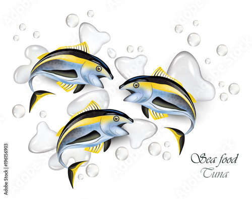 Fresh Tuna fish Vector realistic. Water splash backgrounds