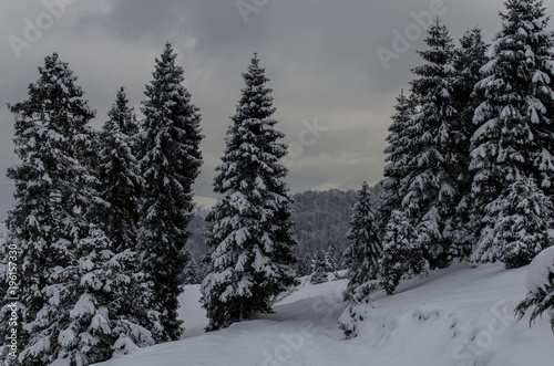 Okolice Pienin zimą  © wedrownik52