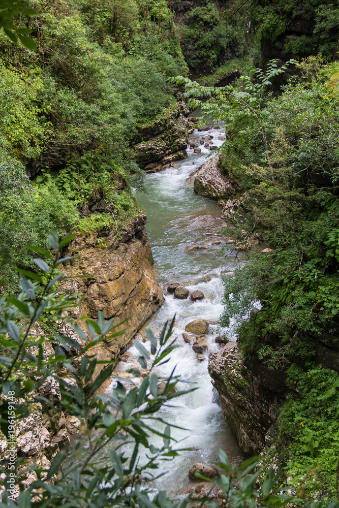 Mountain river flowing through the green forest and many stones Mountain river flowing through the green forest and many stones