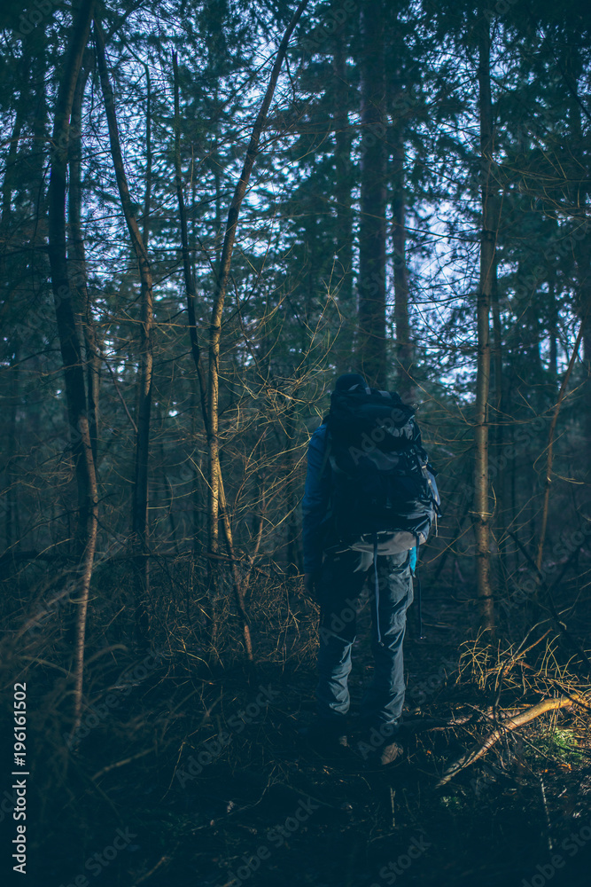 Backpacker hiking in dark winter forest at dusk. Rear view.