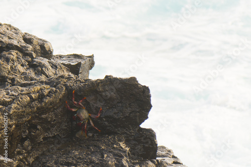 The volcanic rocks at the beach of El Remo near Puerto Naos at La Palma west coast   Canary Islands