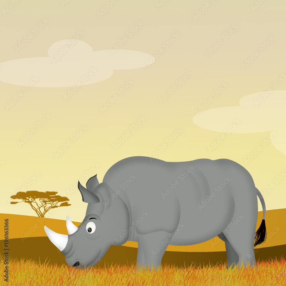 Fototapeta premium rhino in the savannah